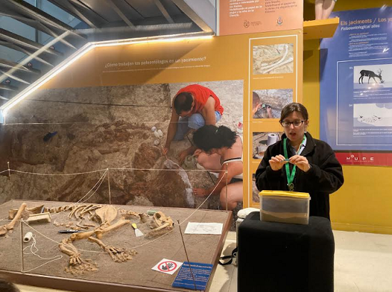 Llega a Elche “Mi primer Geolodía”