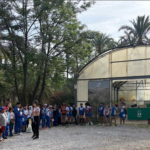 Medio Ambiente de Orihuela continúa con el programa ‘Crece con tu Palmeral’ para acercar a los escolares al valor ambiental y patrimonial del BIC