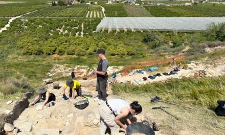Oriola encara el final de les excavacions en Els Saladars i prepara la seua obertura com a espai visitable