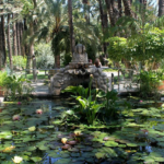 El Huerto del Cura recibe el distintivo de ‘Experiencia con valores sostenibles’ de Creaturisme