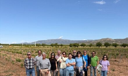 Alacant investiga els millors monastrelles