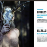 ‘Del bosque a las estrellas’ de José Luis Carrillo aterriza en el Benidorm Virtual