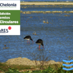 Coca-Cola impulsa una nueva edición de los Premios Mares Circulares para la sostenibilidad y resolución de los desafíos socioambientales