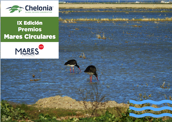 Coca-Cola impulsa una nueva edición de los Premios Mares Circulares para la sostenibilidad y resolución de los desafíos socioambientales