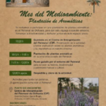 El Palmeral de Orihuela celebrará el próximo viernes una jornada de plantación de aromáticas para fomentar la biodiversidad