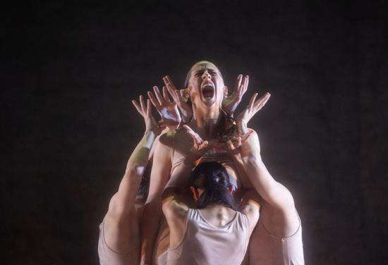 El festival ‘FRESCA!’ ofereix dansa, circ i teatre en el seu primer cap de setmana de programació