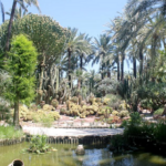 El Huerto del Cura ingresa oficialmente en el Itinerario Europeo de Jardines Históricos del Consejo de Europa