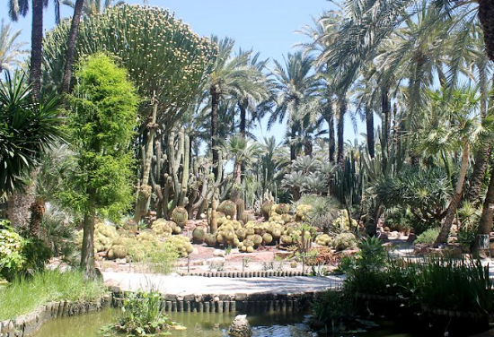 El Huerto del Cura ingresa oficialmente en el Itinerario Europeo de Jardines Históricos del Consejo de Europa