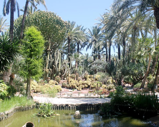 El Huerto del Cura ingresa oficialmente en el Itinerario Europeo de Jardines Históricos del Consejo de Europa