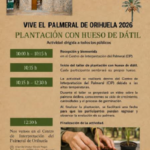 El Palmeral de Orihuela acoge una nueva actividad de plantación con hueso de dátil abierta a todos los públicos