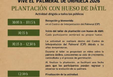 El Palmeral de Orihuela acoge una nueva actividad de plantación con hueso de dátil abierta a todos los públicos