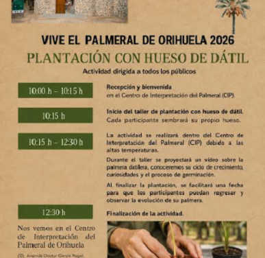 El Palmerar d’Oriola acull una nova activitat de plantació amb os de dàtil oberta a tots els públics