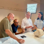 Cultura encarga a uno de los mayores especialistas de España en escultura romana el estudio a fondo de la Venus de Alicante