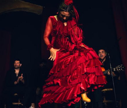 Flamenco & Sal celebra su tercera edición en los Jardines del Auditorio de Torrevieja con cinco nuevas citas de flamenco y gastronomía