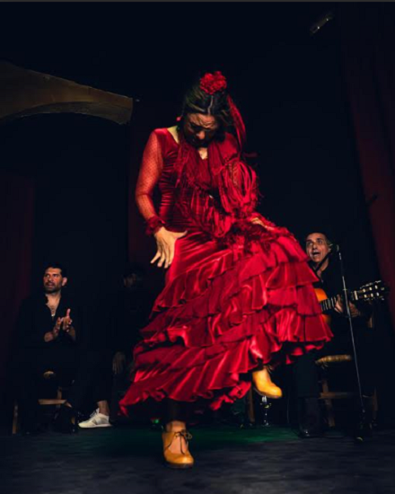 Flamenco & Sal celebra su tercera edición en los Jardines del Auditorio de Torrevieja con cinco nuevas citas de flamenco y gastronomía
