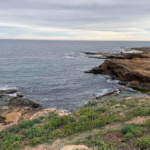 CONVEGA organiza dos rutas guiadas por el GR-92, Mejor Sendero Homologado 2025 de la Comunitat Valenciana   