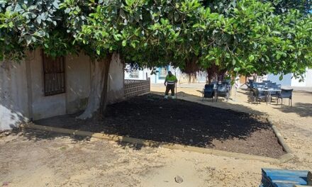 Alacant culmina una nova actuació de millora paisatgística a l’illa de Tabarca