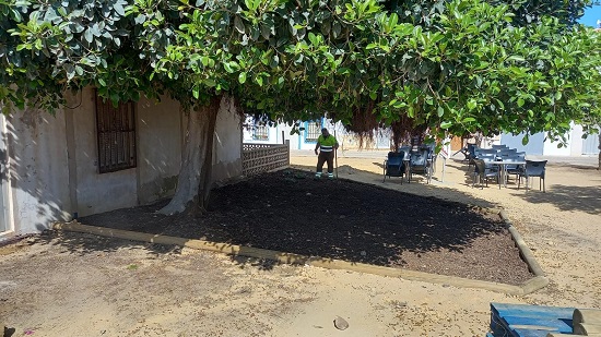 Alicante culmina una nueva actuación de mejora paisajística en la isla de Tabarca   