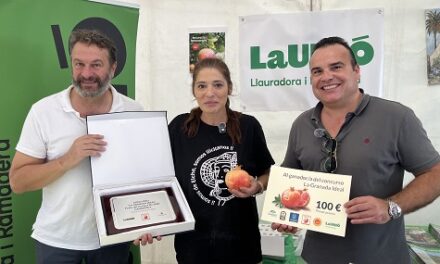 Juani Serrano gana el concurso de la granada ideal en la Fireta del Camp d´Elx