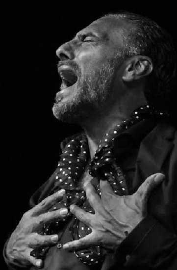 Arranca el X Festival Flamenco Mediterráneo con El Granaíno