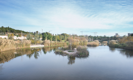 Gastro Cinema vuelve a reconocer el mejor cine medioambiental de la mano de Aguas de Alicante