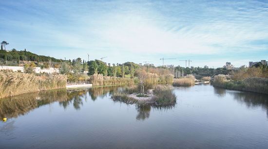 Gastro Cinema vuelve a reconocer el mejor cine medioambiental de la mano de Aguas de Alicante